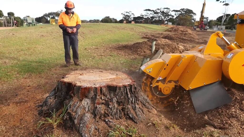 Grinding a Tree Stump