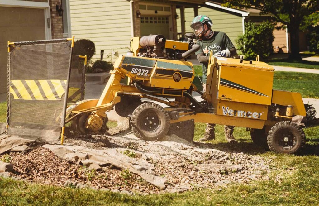 Grinding a Tree Stump