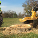 The Process of Grinding a Tree Stump Explained