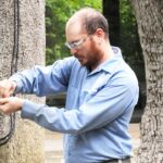 When to Call a Tree Doctor in Sydney for Your Property